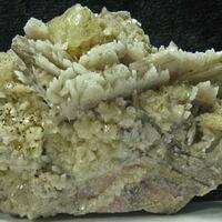 Anhydrite & Chalcopyrite & Ankerite & Calcite