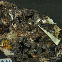 Iodian Bromian Chlorargyrite On Goethite