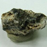 Tridymite