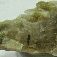 Chlorophoenicite