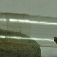 Native Platinum