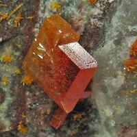 Wulfenite