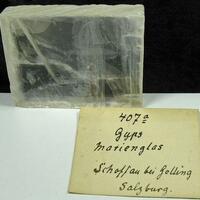 Gypsum Var Selenite