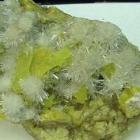 Gypsum On Native Sulphur