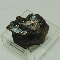 Phlogopite