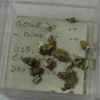Gowerite & Ginorite