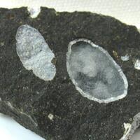 Phillipsite