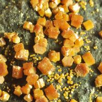 Wulfenite