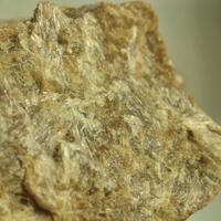 Bustamite