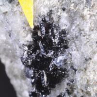 Allanite-(Ce) & Britholite-(Ce) & Zircon & Nosean
