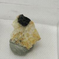 Allanite-(Nd)