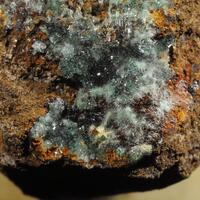 Cuprian Adamite