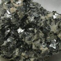 Muscovite