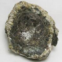 Anthophyllite & Biotite