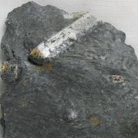 Andalusite Var Chiastolite