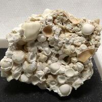 Aragonite