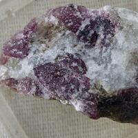 Eudialyte