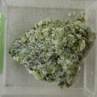 Forsterite