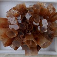 Aragonite