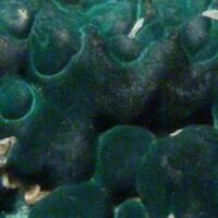 Malachite