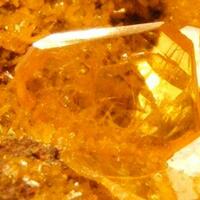 Wulfenite