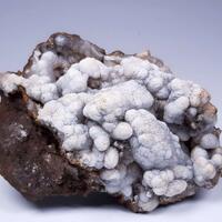 Calcite & Aragonite