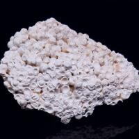 Pisolite & Aragonite & Calcite
