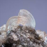 Halite