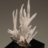 Aragonite