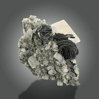 Ilmenite & Calcite