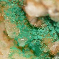 Cornwallite & Agardite