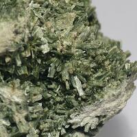 Actinolite Psm Diopside