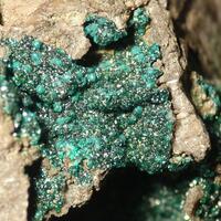 Ludjibaite Reichenbachite & Pseudomalachite