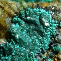 Clinoatacamite