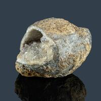 Calcite & Fossil