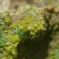 Pyromorphite