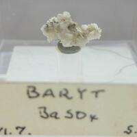 Baryte & Calcite