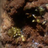 Tsumcorite