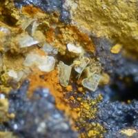 Wulfenite