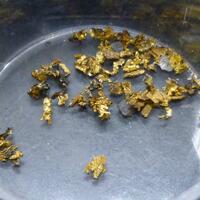 Native Gold