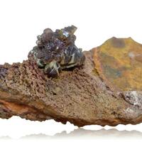 Manganoan Adamite