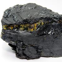 Coal Amber