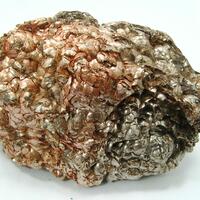 Muscovite