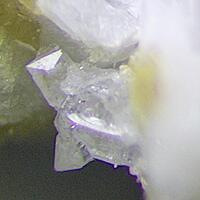 Chiappinoite-(Y)