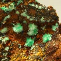 Agardite