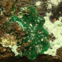 Cuprian Adamite & Agardite