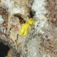 Sklodowskite & Gypsum