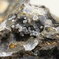 Faujasite & Augite