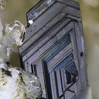 Biotite