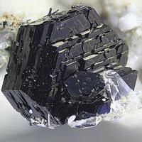 Biotite